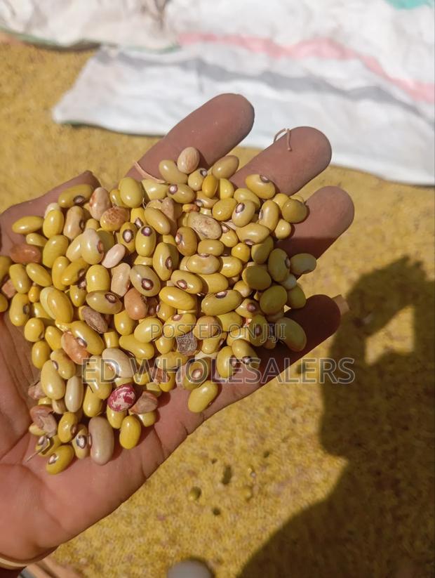 Clean, Well-Dried Yellow Beans (Direct From Farm) - thumbnail 2