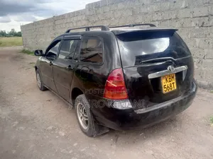 Toyota Corolla Fielder 2010 Black