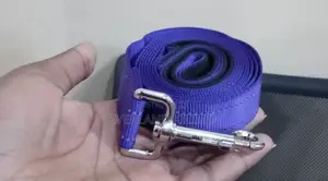 Nylon Flat Leash