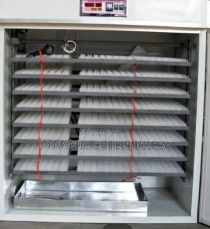 5280 Automatic Egg Incubator