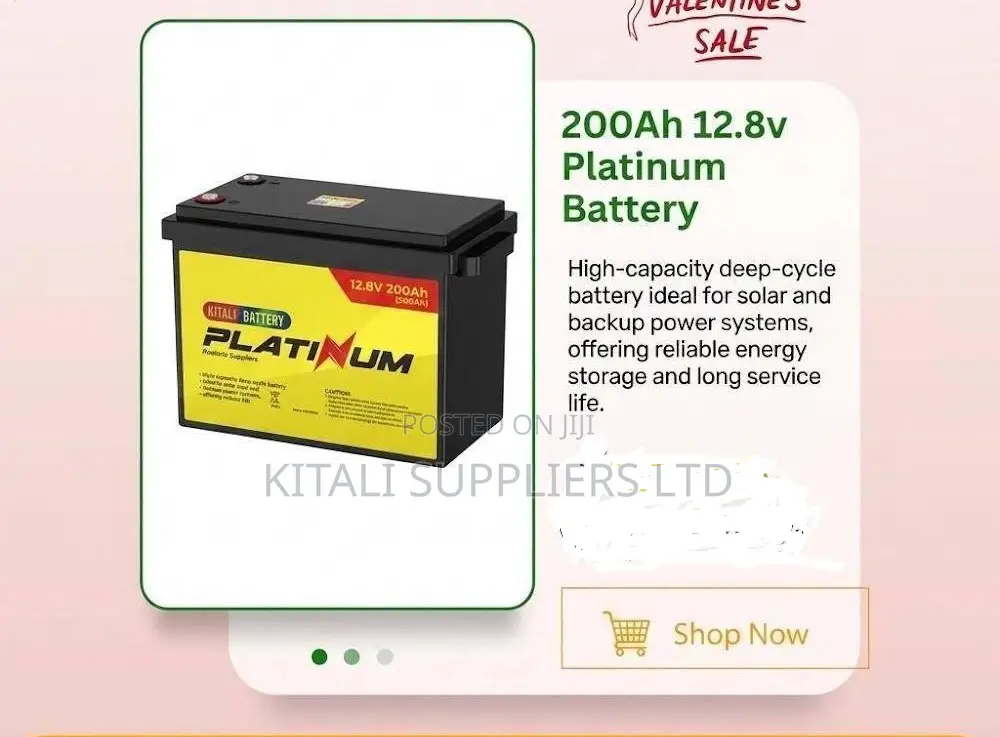 200ah 12.8v Platinum Battery