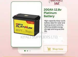 200ah 12.8v Platinum Battery