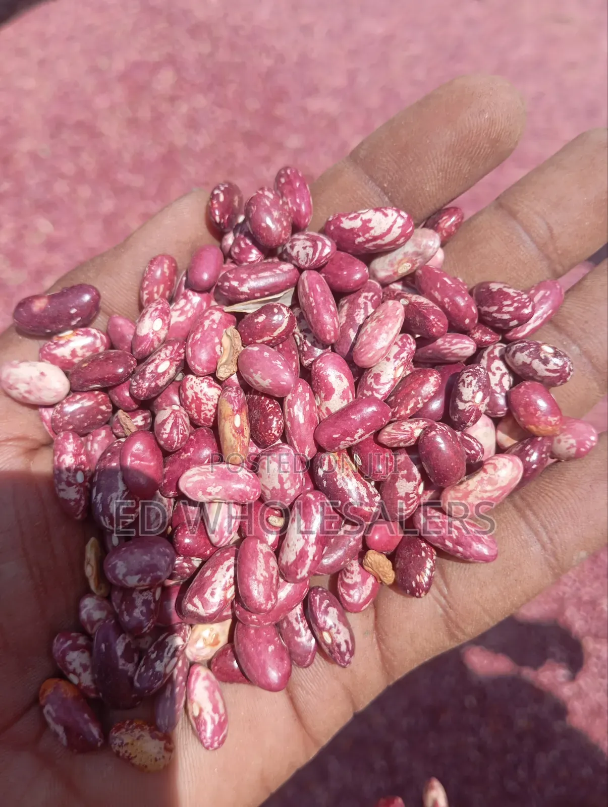 High Quality Nyayo Beans