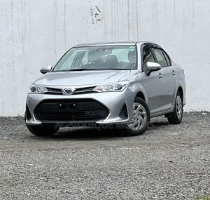 Toyota Axio 2018 Silver