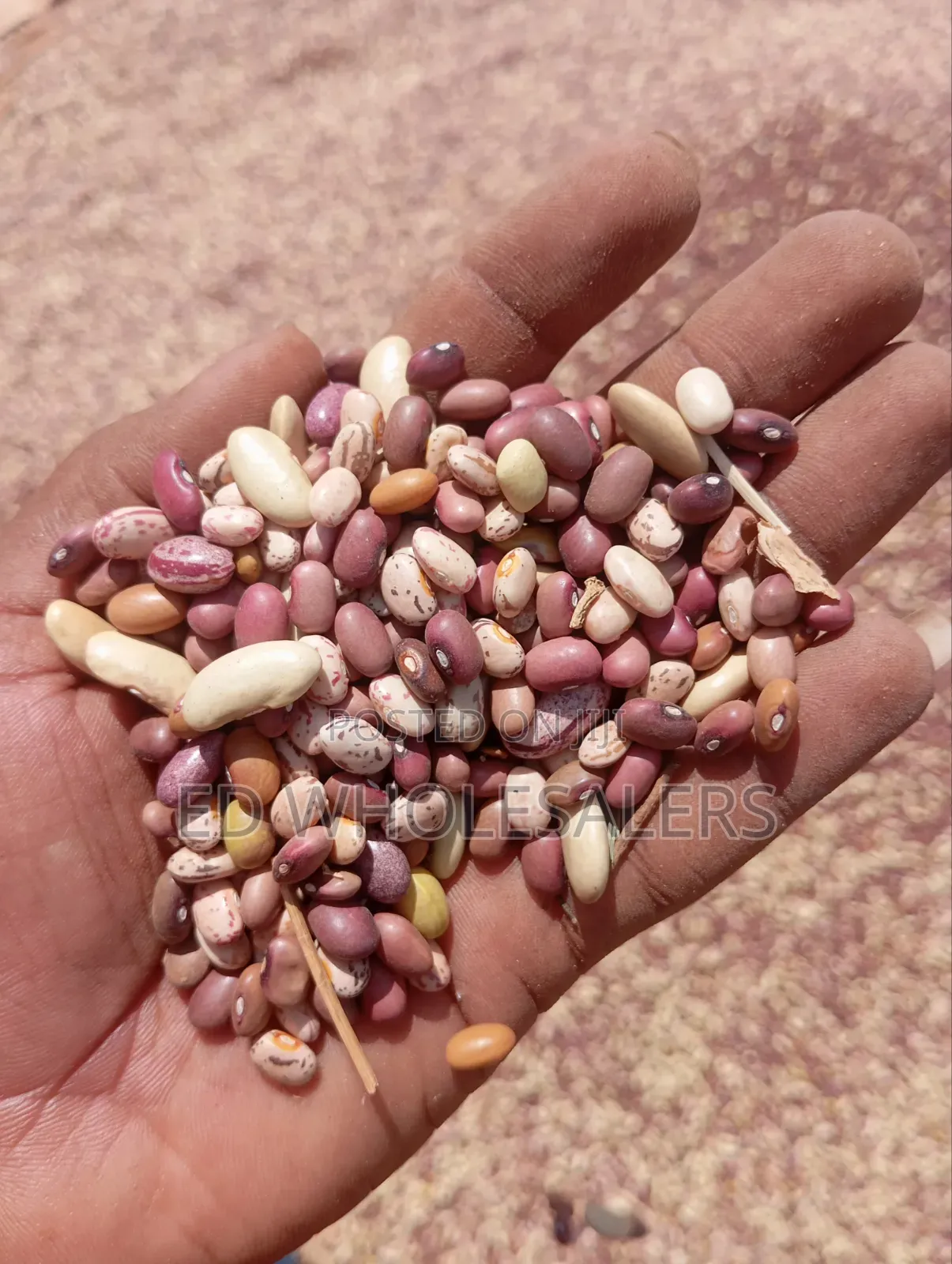 Top Quality Mixed Beans