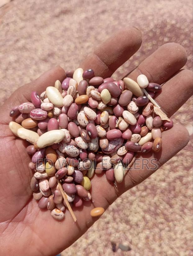 Top Quality Mixed Beans