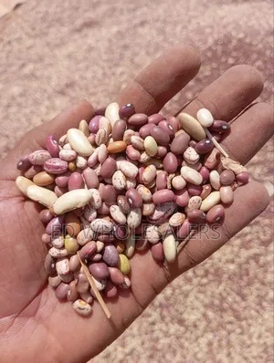 Top Quality Mixed Beans