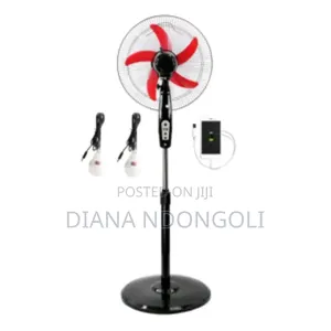  3 in 1 Standing Fan