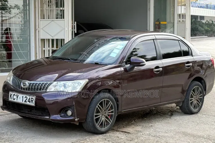 Toyota Axio 2012 Maroon