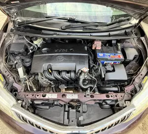 Toyota Axio 2012 Maroon