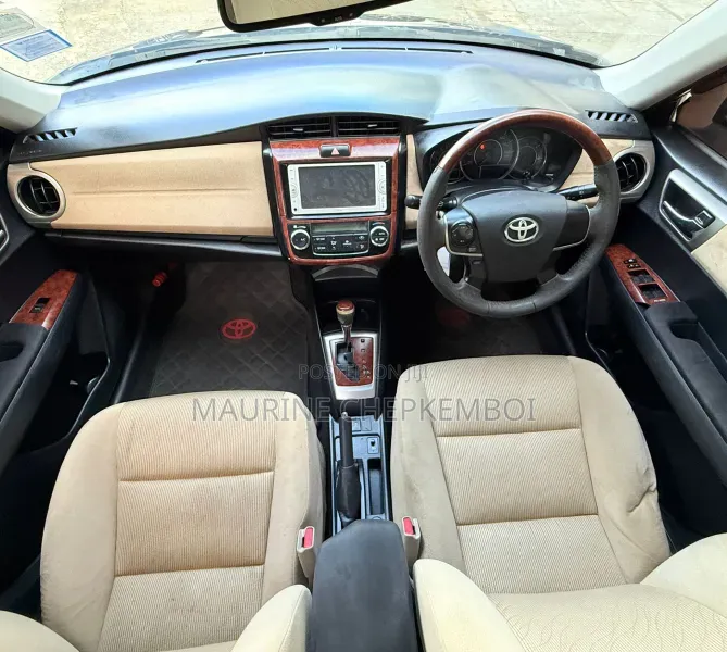 Toyota Axio 2012 Maroon