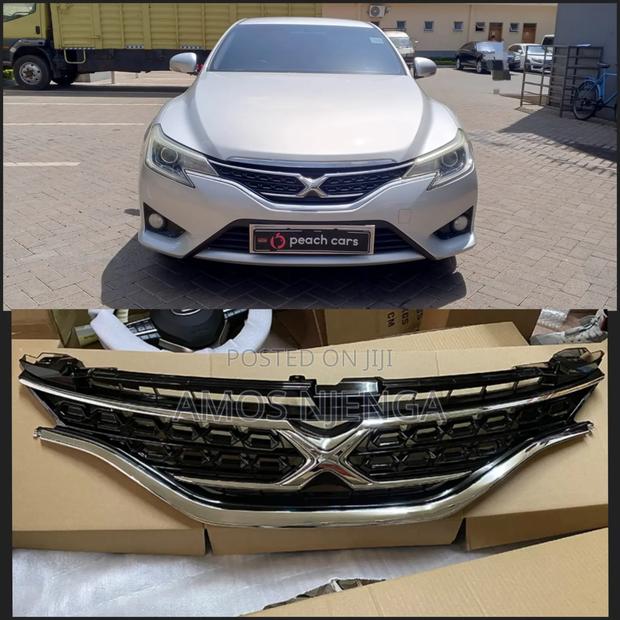 Mark - X 2014 Grill - main view