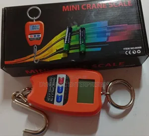 Crane Scale