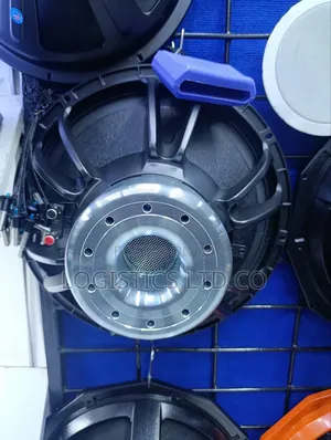 Professional Neodymium 18-Inch 152mm Coil Naked Subwoofer Speaker