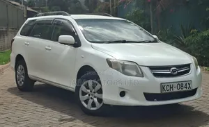 Toyota Corolla Fielder 2009 White