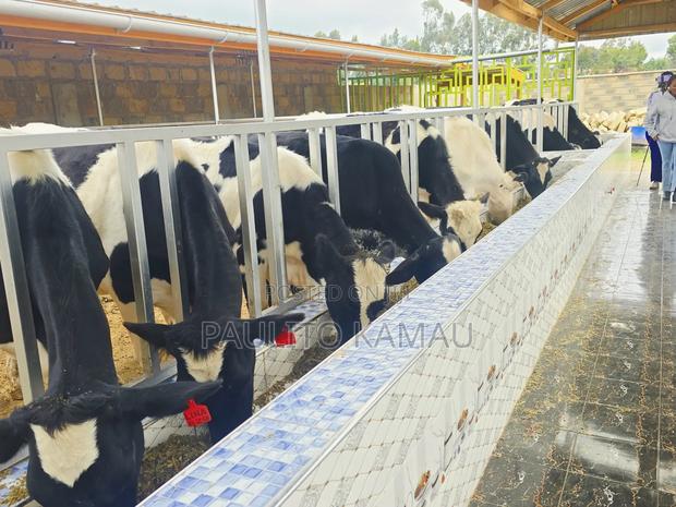Paulitodairyfarm