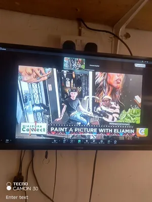 24 Inch Vitron Tv