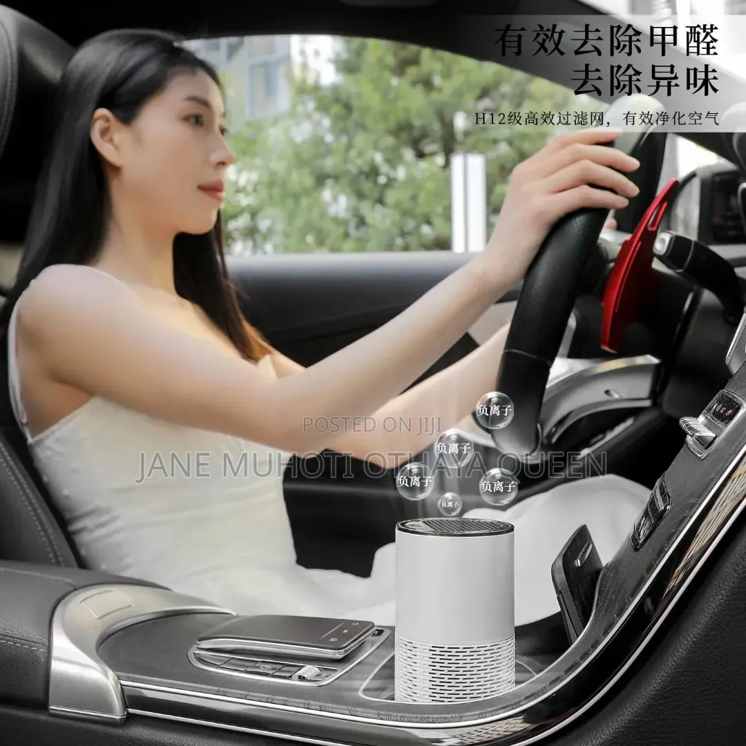 Mini Car/Room Electric Usb Air Purifier,