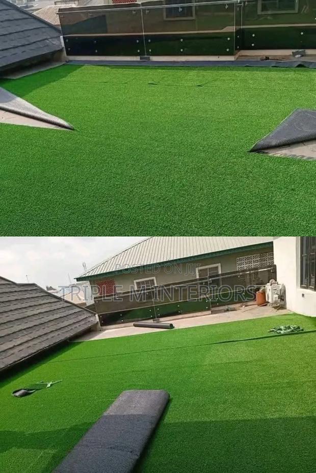 Dig-Proof Design: The Smart Turf Choice for Dog Owners - main view