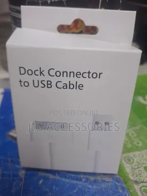 iPhone 4/Mp3 Player Charger