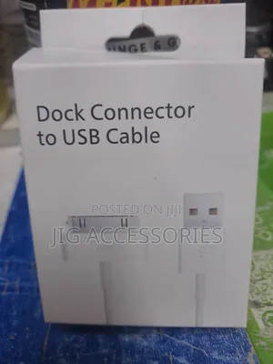iPhone 4/Mp3 Player Charger