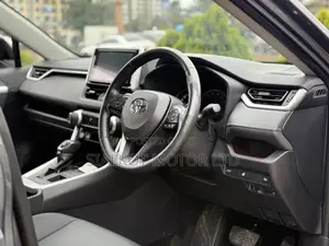Toyota RAV4 Limited AWD 2019 Gray