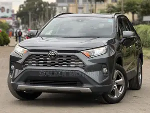 Toyota RAV4 Limited AWD 2019 Gray