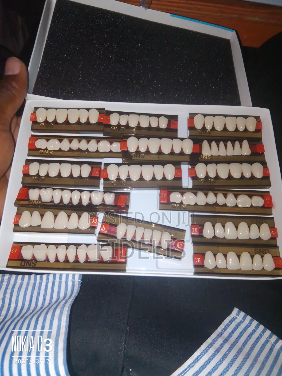 Dental Teeth
