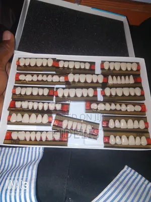 Dental Teeth