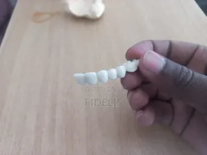 Dental Teeth
