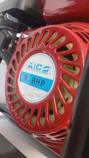 Aico 8hp Vibrator With 45mm Poker
