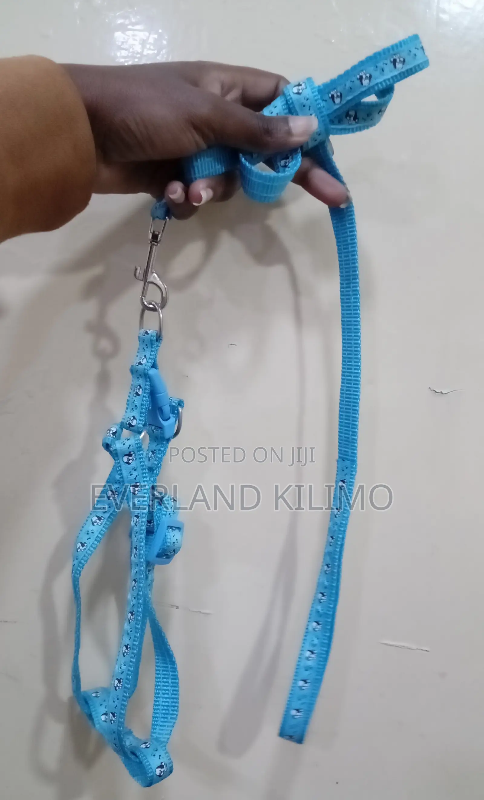 Soft Puppy Leash Set