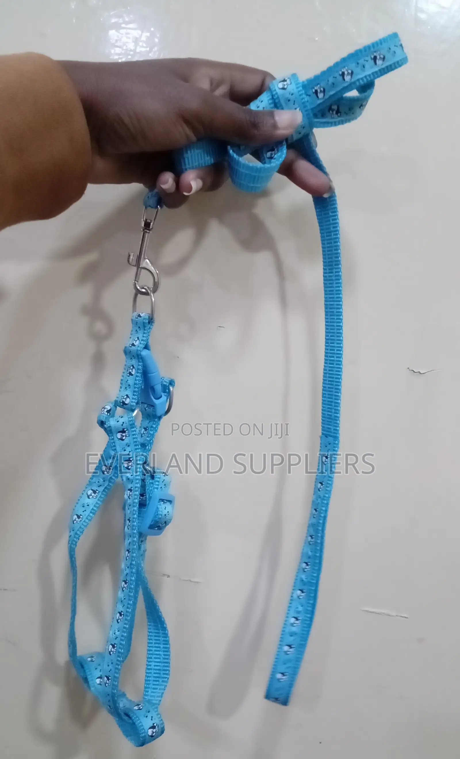 Soft Puppy Leash Set