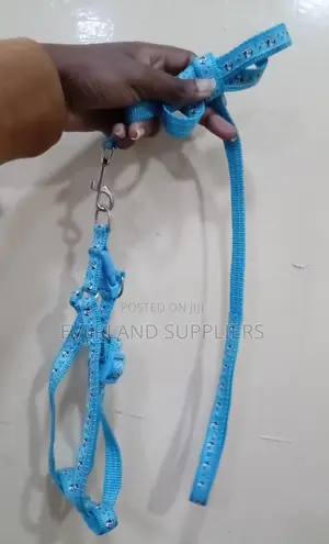 Soft Puppy Leash Set