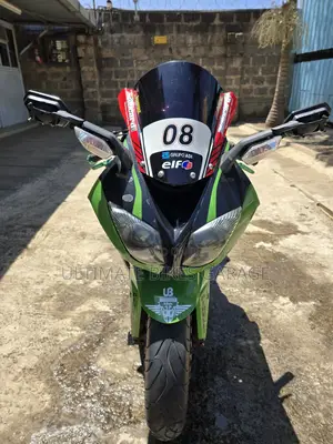Kawasaki Ninja ZX-10R 2010 Green