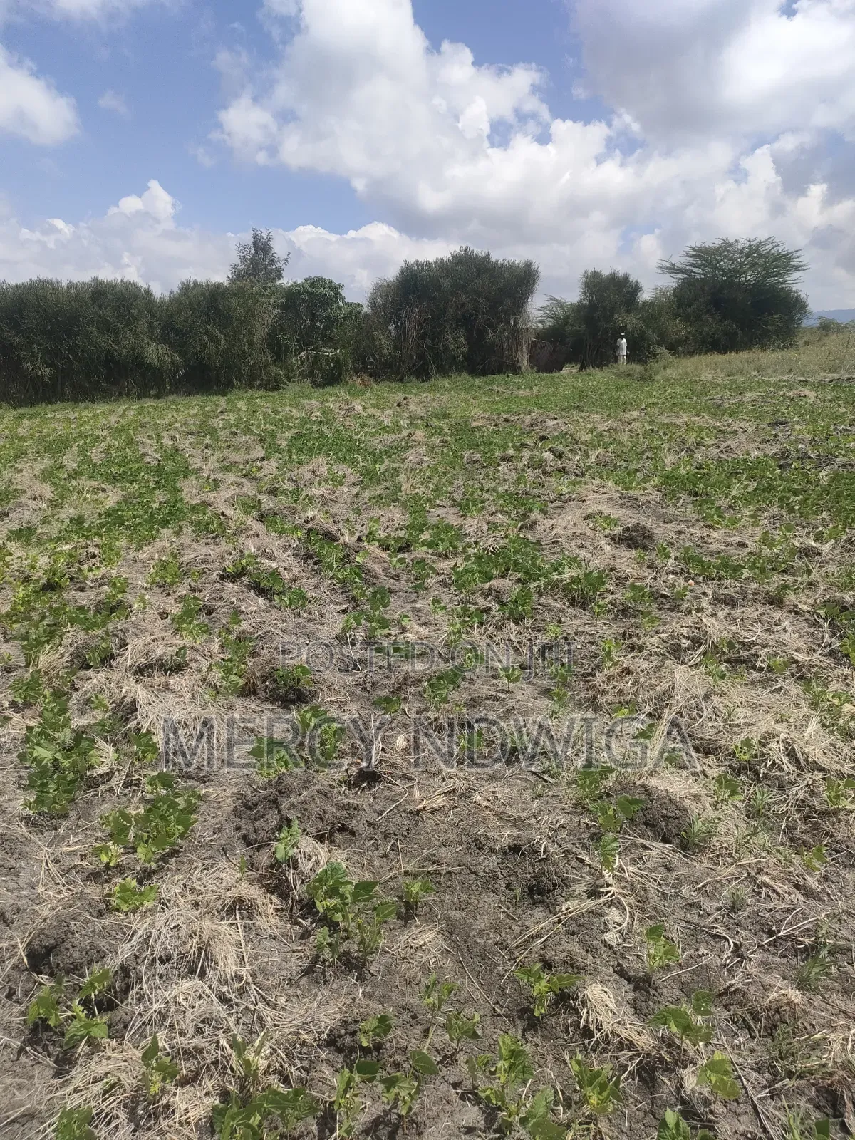 Plots for Sale