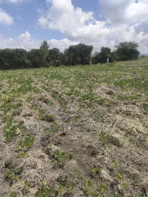 Plots for Sale