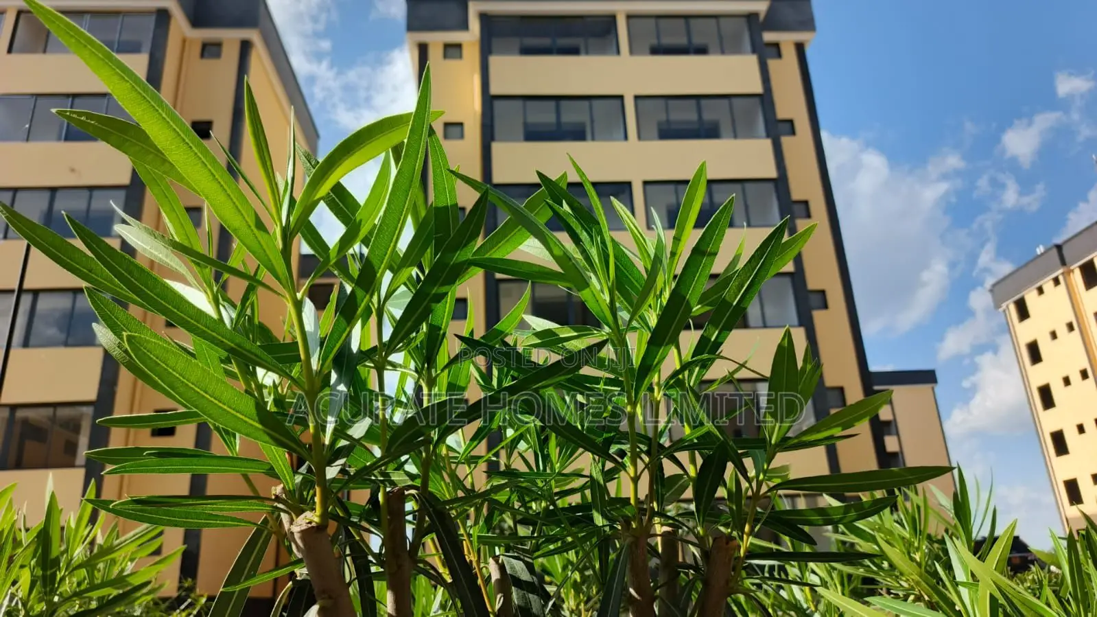 2bdrm Apartment in Terian Park, Kitengela for sale