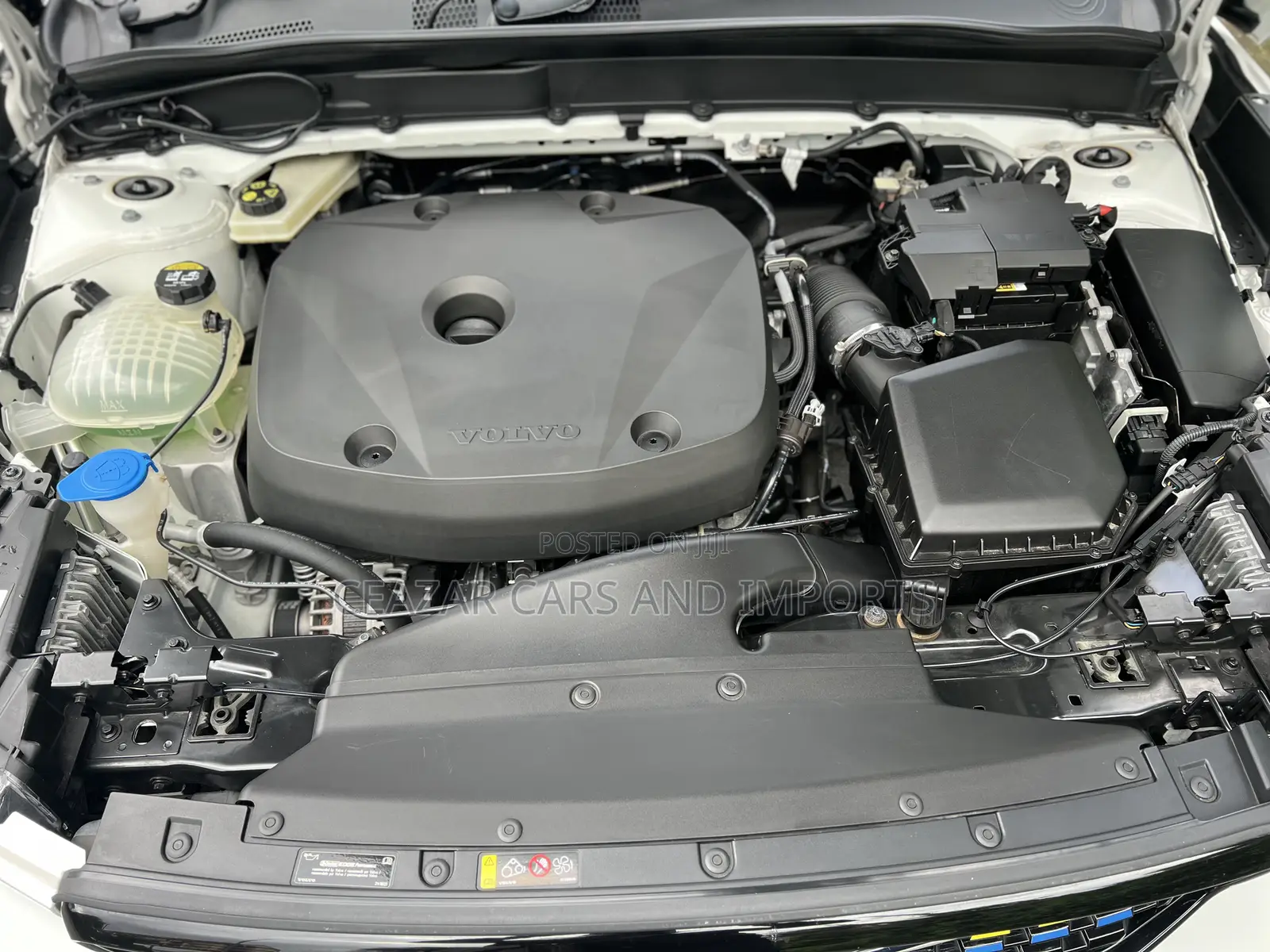 Volvo XC40 T5 Petrol AWD 2019 White