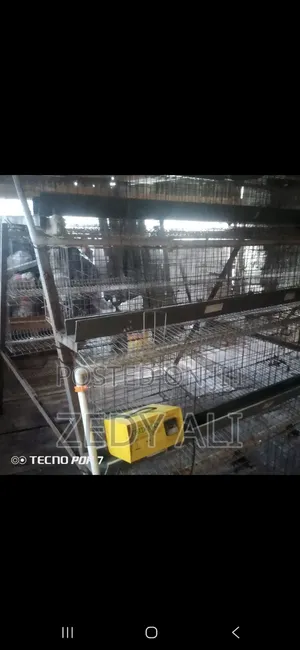 Chicken Cages
