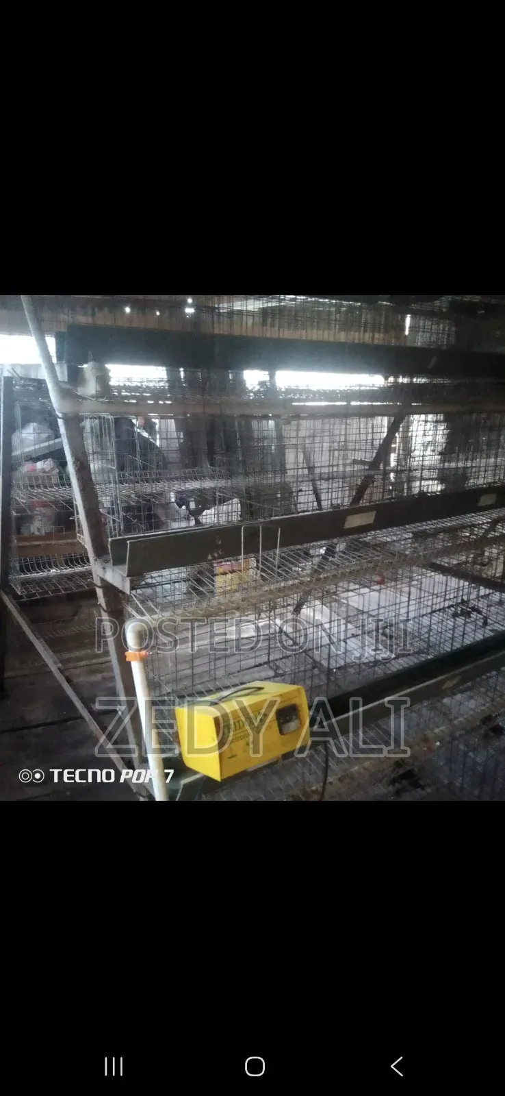 Chicken Cages