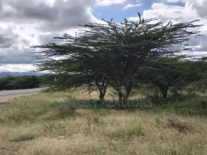 Half Acre Plot for Sale in Dawamu Touching Kiserian-Isinya Tarmac