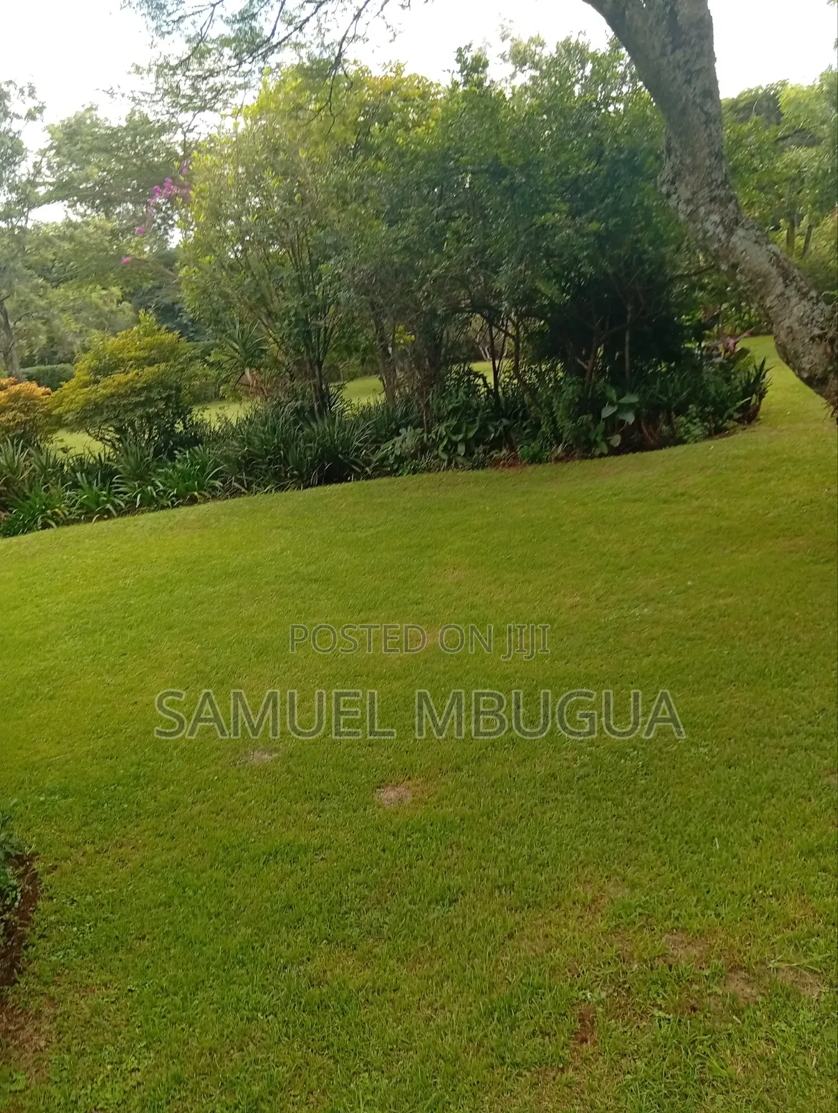 5bdrm House in Karen for rent