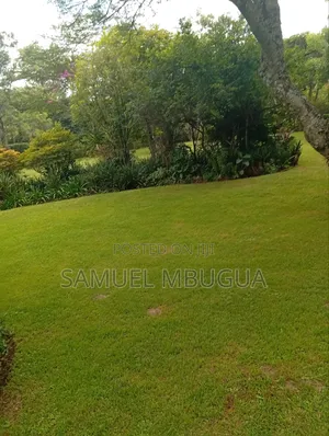 5bdrm House in Karen for rent