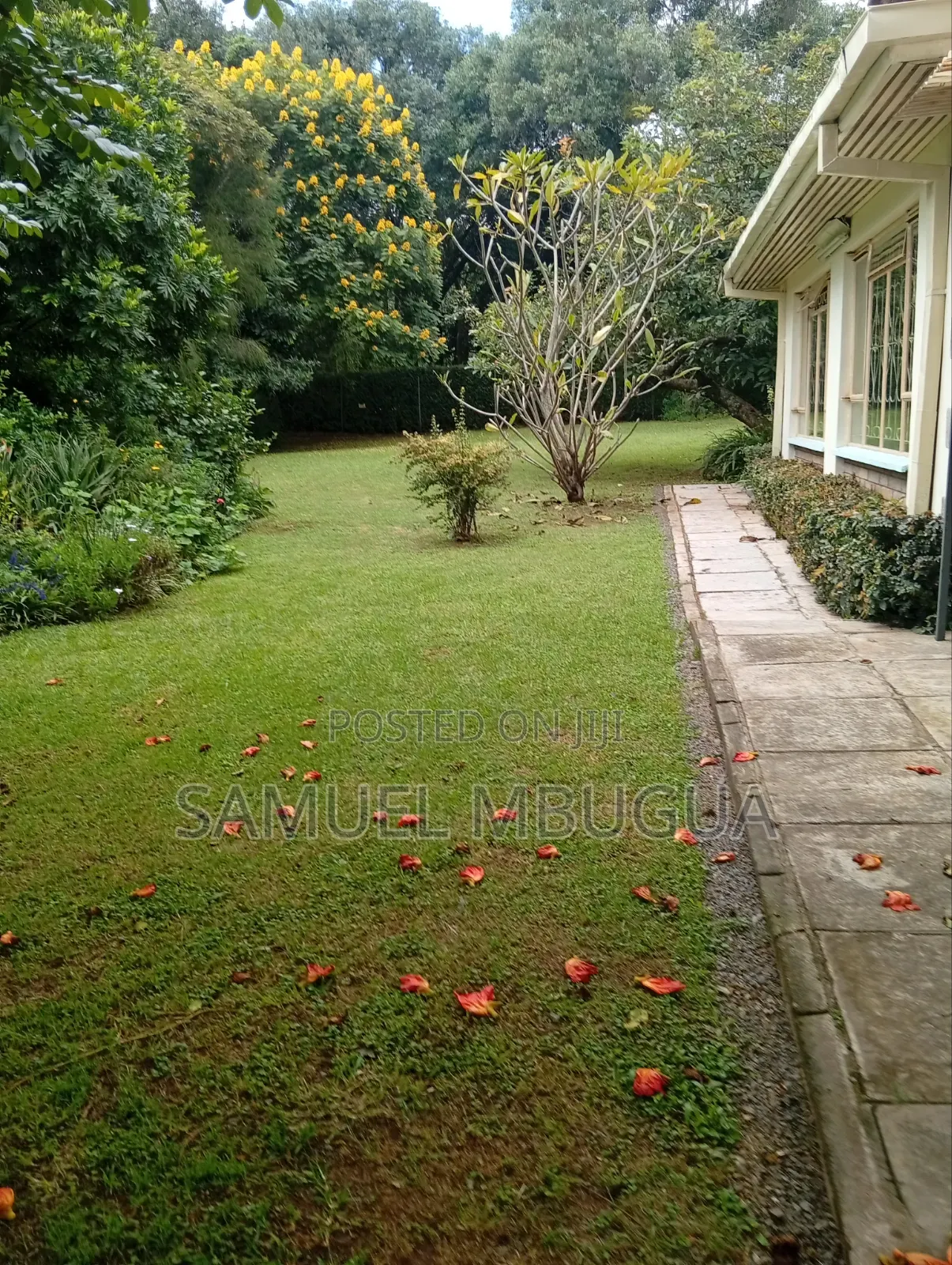 5bdrm House in Karen for rent