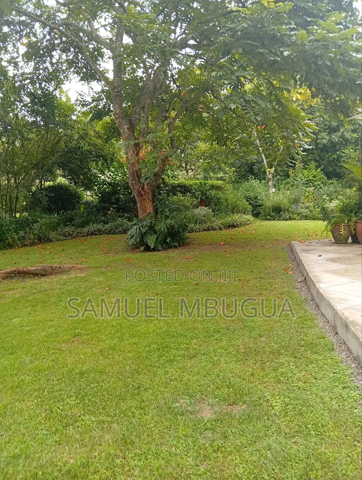 5bdrm House in Karen for rent