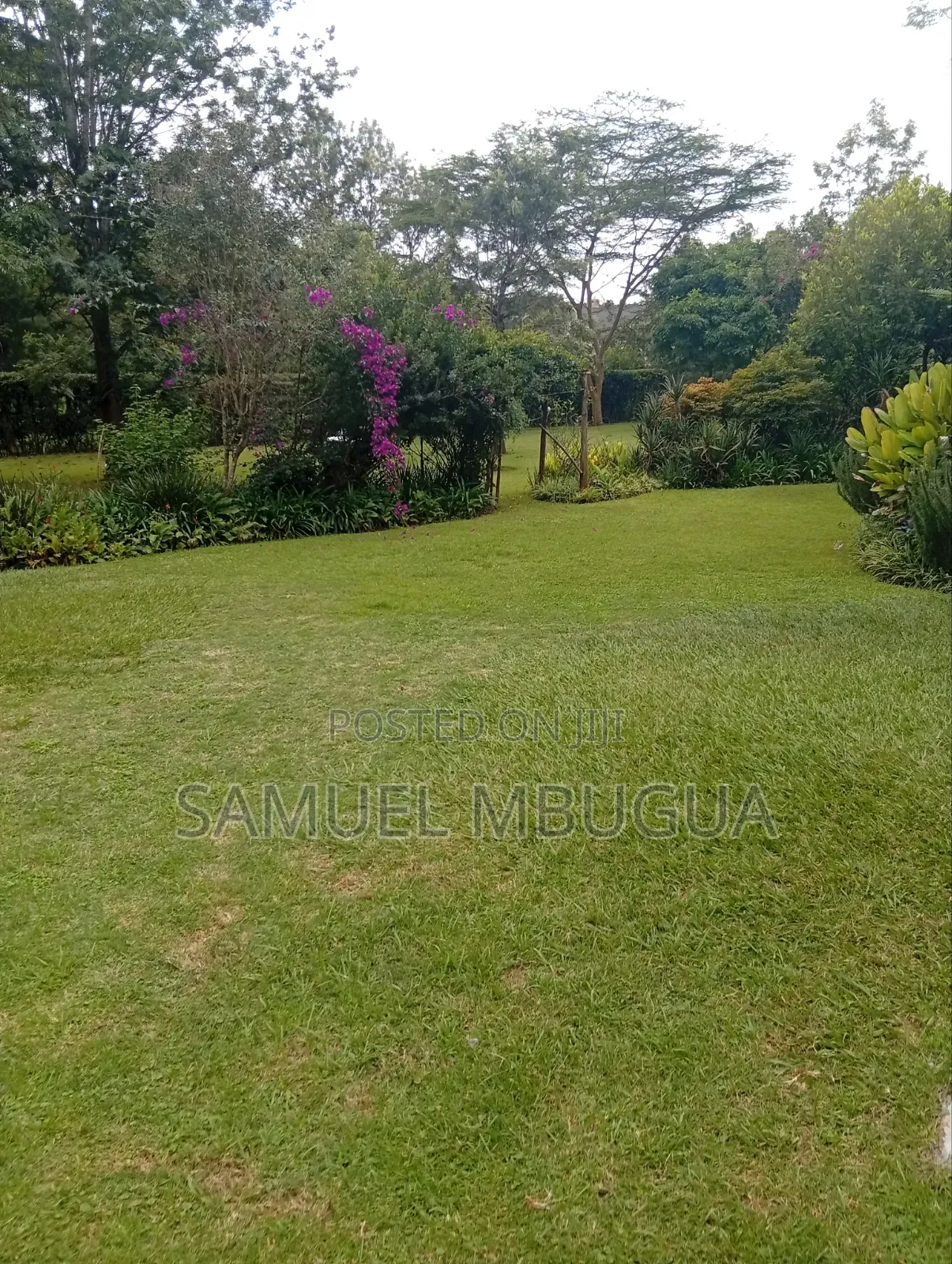 5bdrm House in Karen for rent