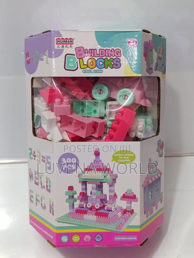 300 Pieces Building Blocks