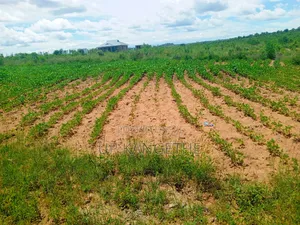 50*100 Plot in Matuu