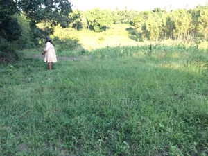 Prime Land for Sale